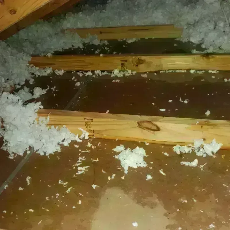 Attic Water Damage in Dora, AL