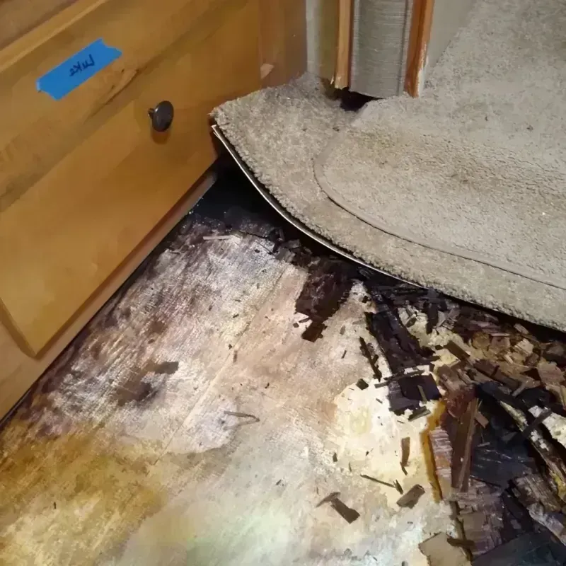 Wood Floor Water Damage in Dora, AL